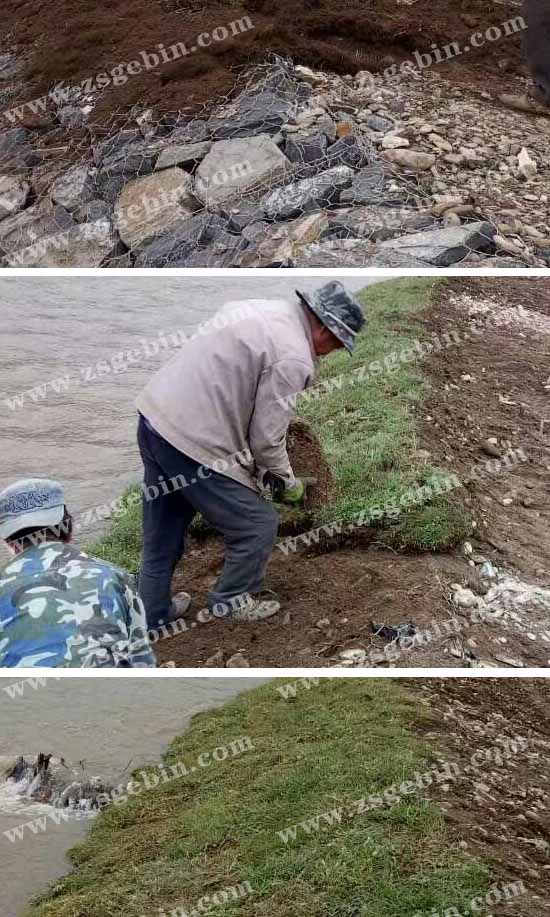 河道格賓網 河道格賓網