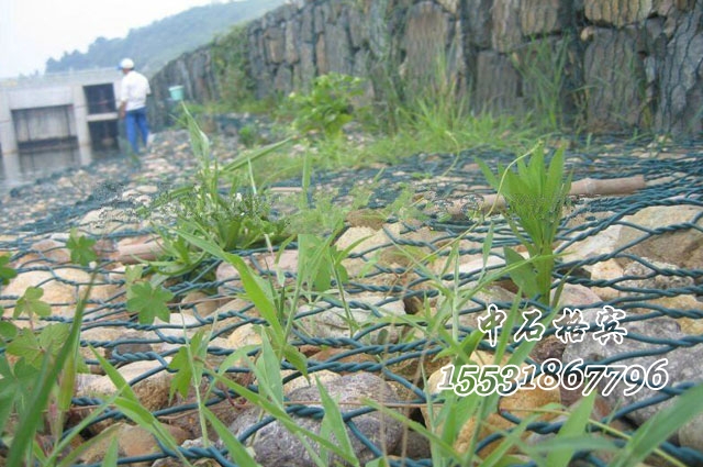 格賓網(wǎng) 格賓網(wǎng)