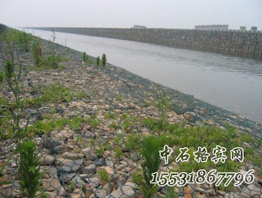 綠濱墊 綠濱墊
