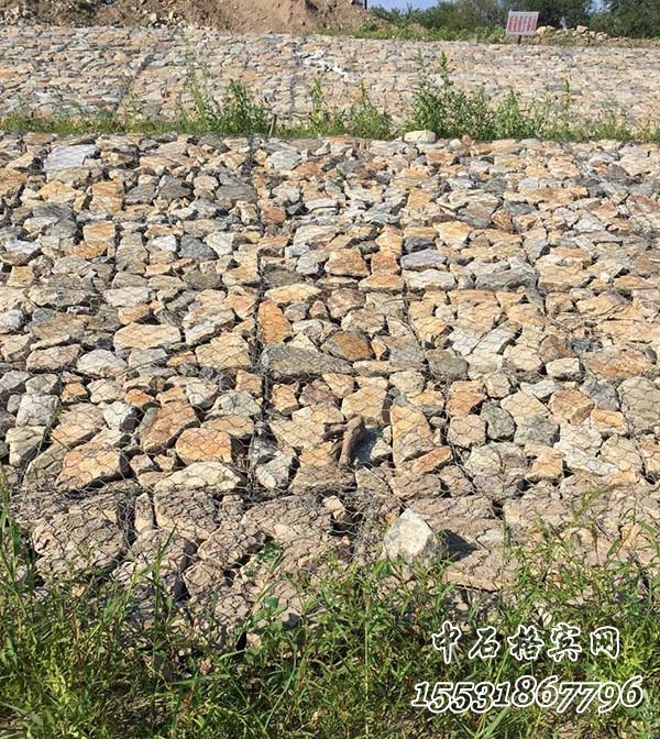 賓格籠 賓格籠