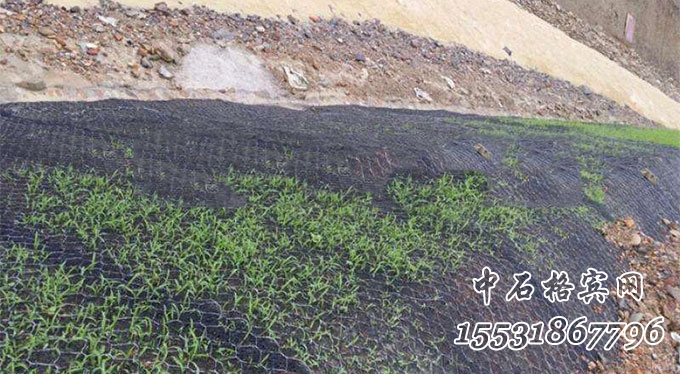加筋麥克墊護(hù)坡 加筋麥克墊護(hù)坡