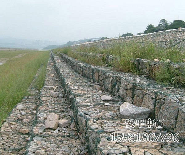 綠濱墊 綠濱墊
